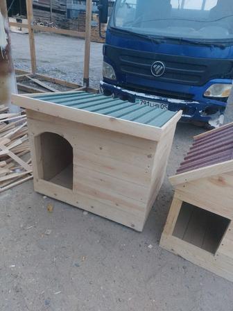 Бутки сабачи