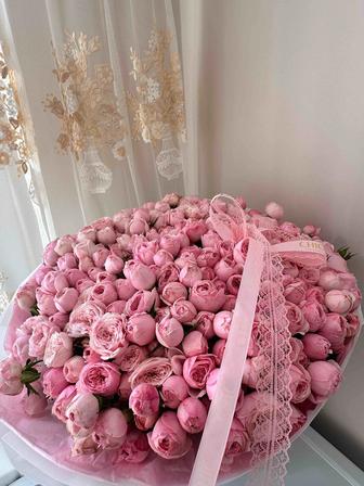 Продам цветы срочно