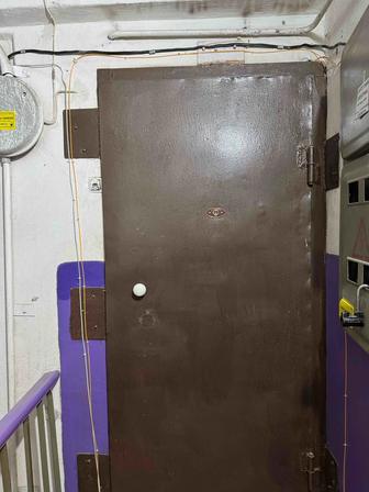 Дверь железная