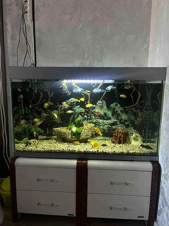 Аквариум 200 литров со всем в комплекте