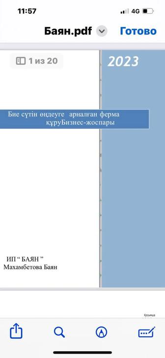 Бизнес план 5млн грантка / 1 380 000 тг 400МРП ДАЙЫН бизнес ПЛАНДАР