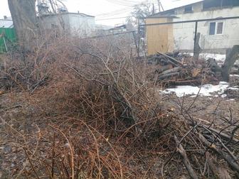 Дрова даром