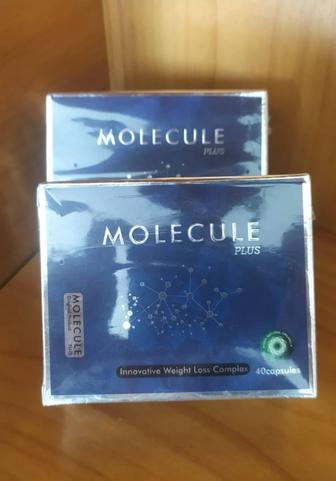 MOLECULE Plus