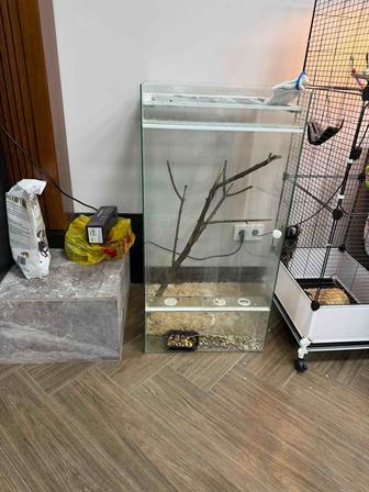 Продам стеклянный террариум