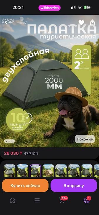 кемпинговая палатка