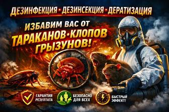 Дезинфекция обработка от клопов и тараканов, дезинсекция, дератизация
