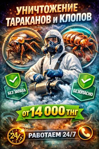 Дезинфекция обработка от клопов и тараканов, дезинсекция, дератизация