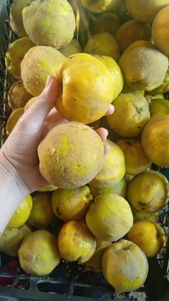 Садовые растения.