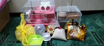 Клетки, корм, опилки, песок, шар, ванна, поилка для хомяков