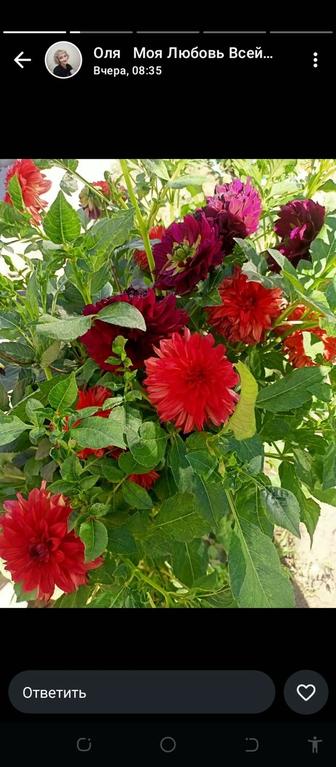 Доставка цветов