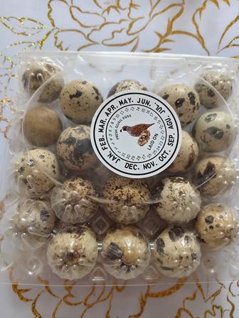 Перепел бодене жумырткасы