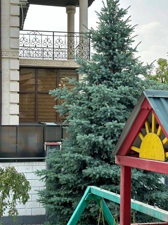 Услуги Садовника