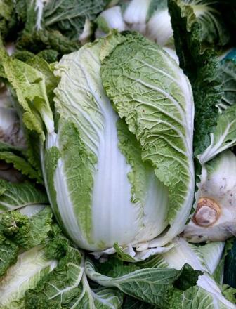 Бонсай овощи