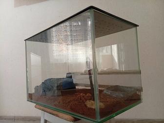 Продам террариум для пауков