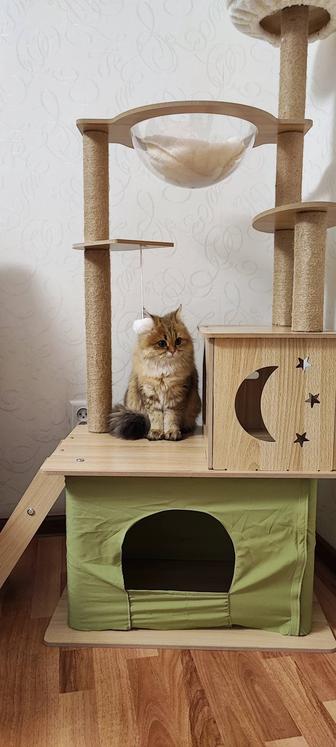 Продам игровой комплекс для кошек