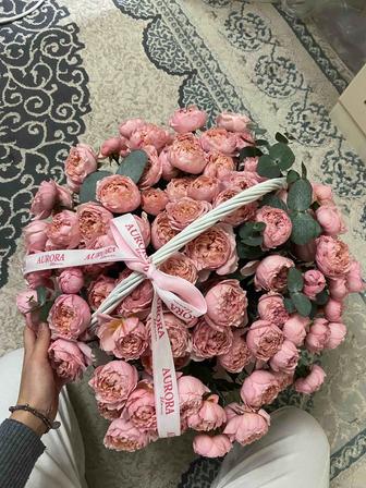 Продам цветы