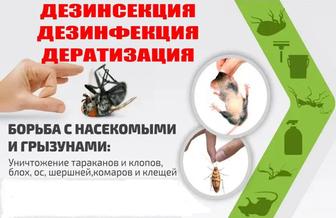 Атырау қаласынан дизенфекция жасаймыз. Зиянкестердің барлық түріне.