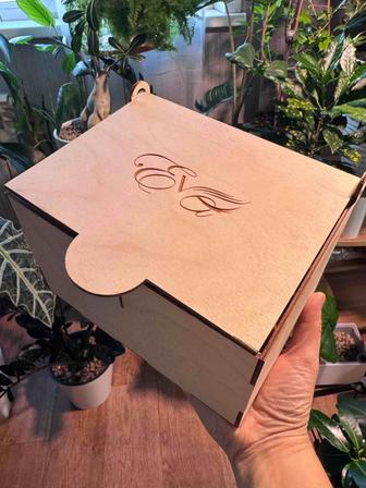 Органайзер новый лашбокс