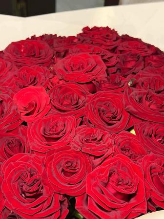 Метр роза 51штук