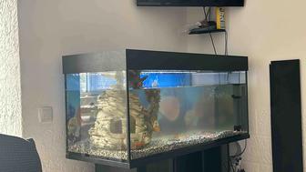 Продается Аквариум 300литров !