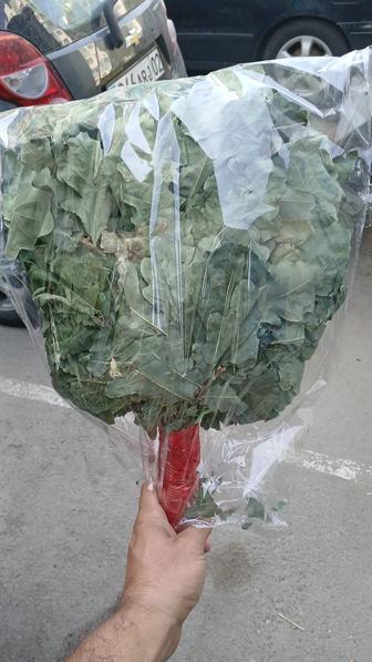 Дубовый веник