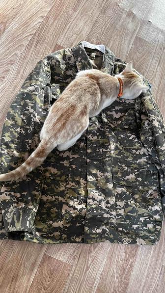 продам форму