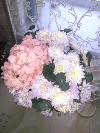 Продам цветы