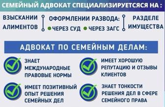 Семейные споры (развод, раздел, алименты, брачный договор и так далее)