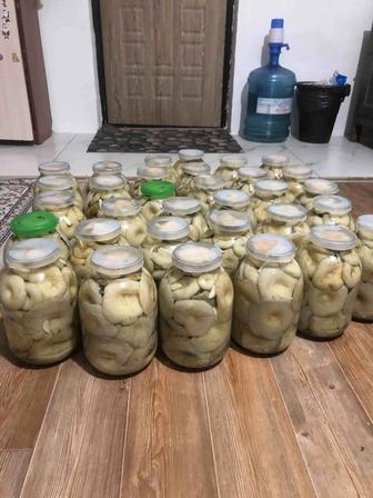 Продам свежие грузди Боровские