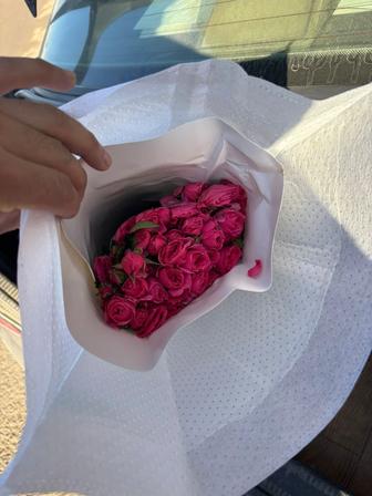 Продам цветы кустовых роз