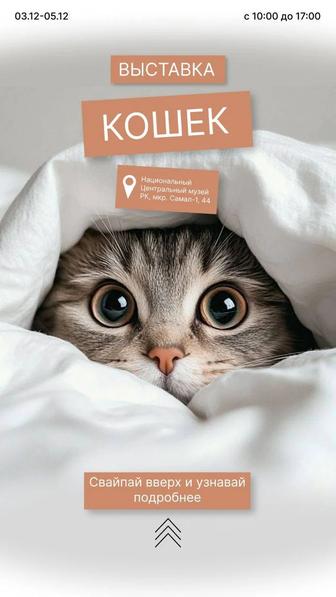 Графический дизайн