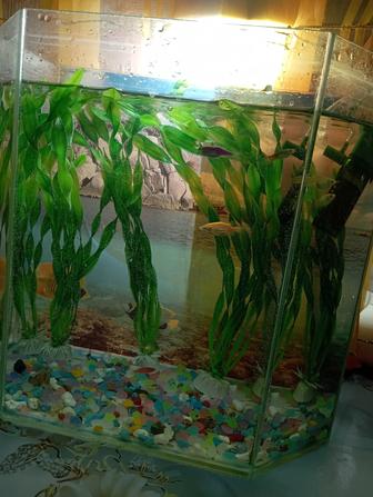 Продам аквариум 15 л с рыбками и оборудованием