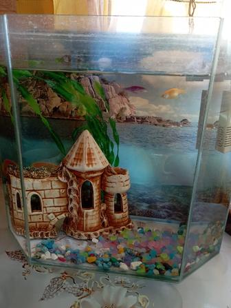 Продам аквариум 15 л с рыбками и оборудованием