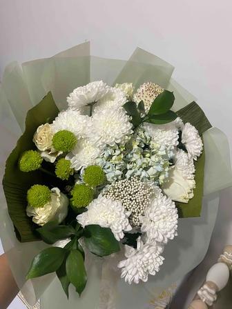 Пиона цветы