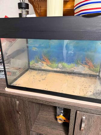 Продам аквариум