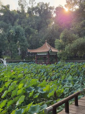 Репетитор китайского языка онлайн