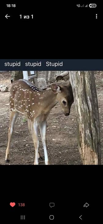 Уроки английского