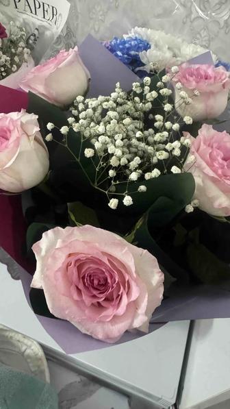 Продам цветы