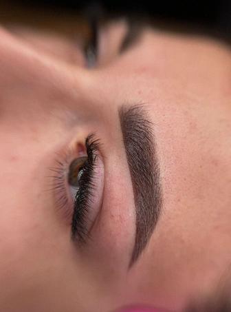 Модель на перманент бровей для действующего мастера на повышение