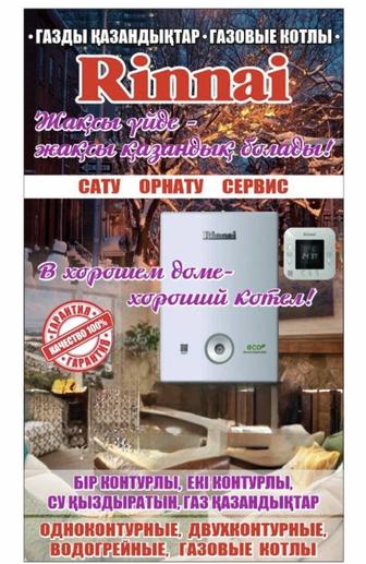 Установка Сервис Доставка газовых котлов Rinnai