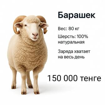 Карточки для Маркетплейса Креативная Реклама Создание Бренда Видео Реклама