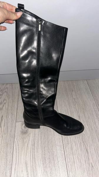 Сапоги Basconi