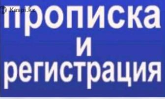 Прописка (Регистрация)