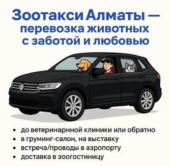 Зоотакси