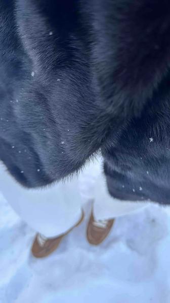 Норковая шуба