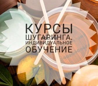 обучение курс шугаринга