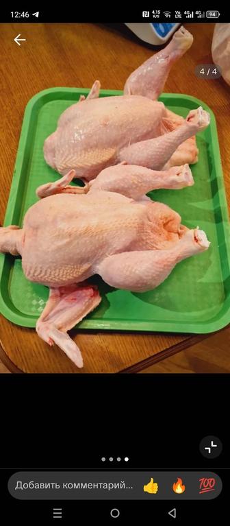 Резаные куры с доставкой на дом