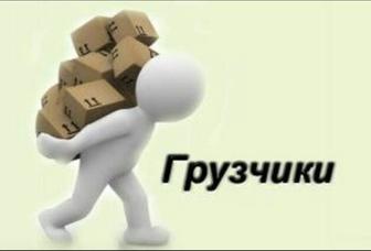 Жүк тиегіш / Грузчик