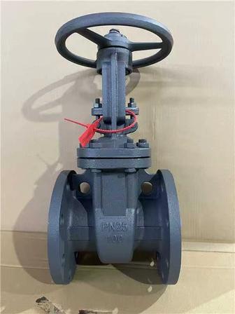 Задвижка Ду100 Ру25