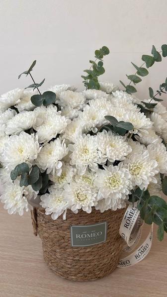 цветы